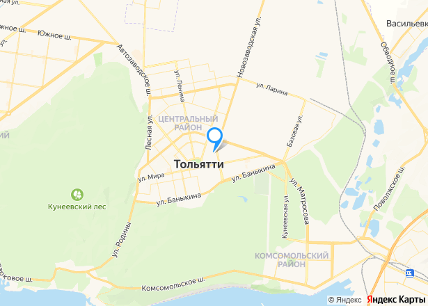 Квартира в Тольятти, 30,9 кв.м, 1 комн. - Изображение местоположения