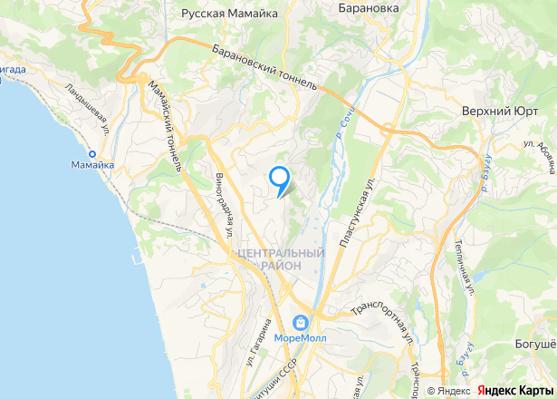 Квартира в Сочи, 41,1 кв.м, 1 комн - Изображение местоположения