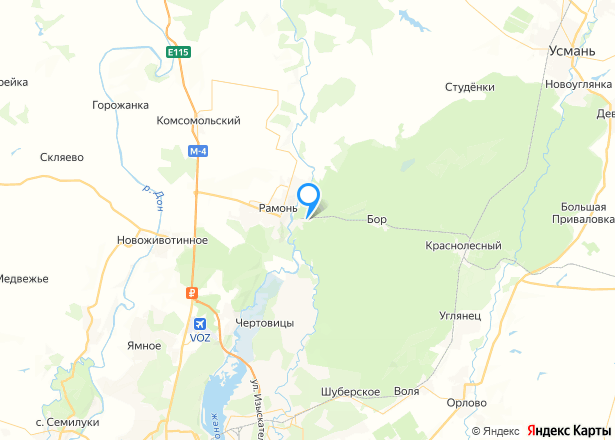 Дом 130,6 кв..м и земельный участок 908 кв.м. в Воронежской обл. - Изображение местоположения
