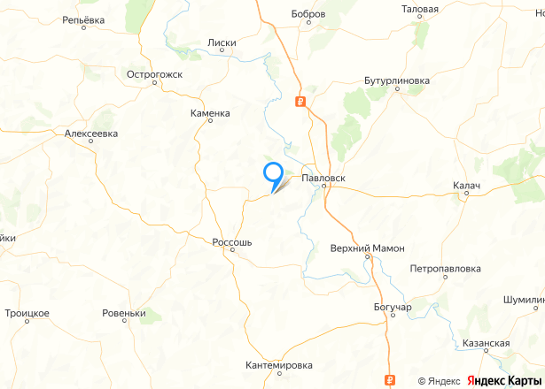 Дом 25,1 кв.м. и земельный участок 2200 кв.м. в Воронежской обл. - Изображение местоположения