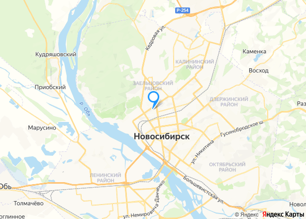 Гараж в Новосибирске, 18,8 кв.м. - Изображение местоположения
